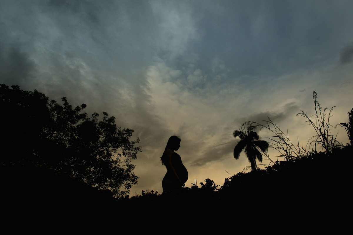 mulher gestante em pé no jardim botânico em são paulo